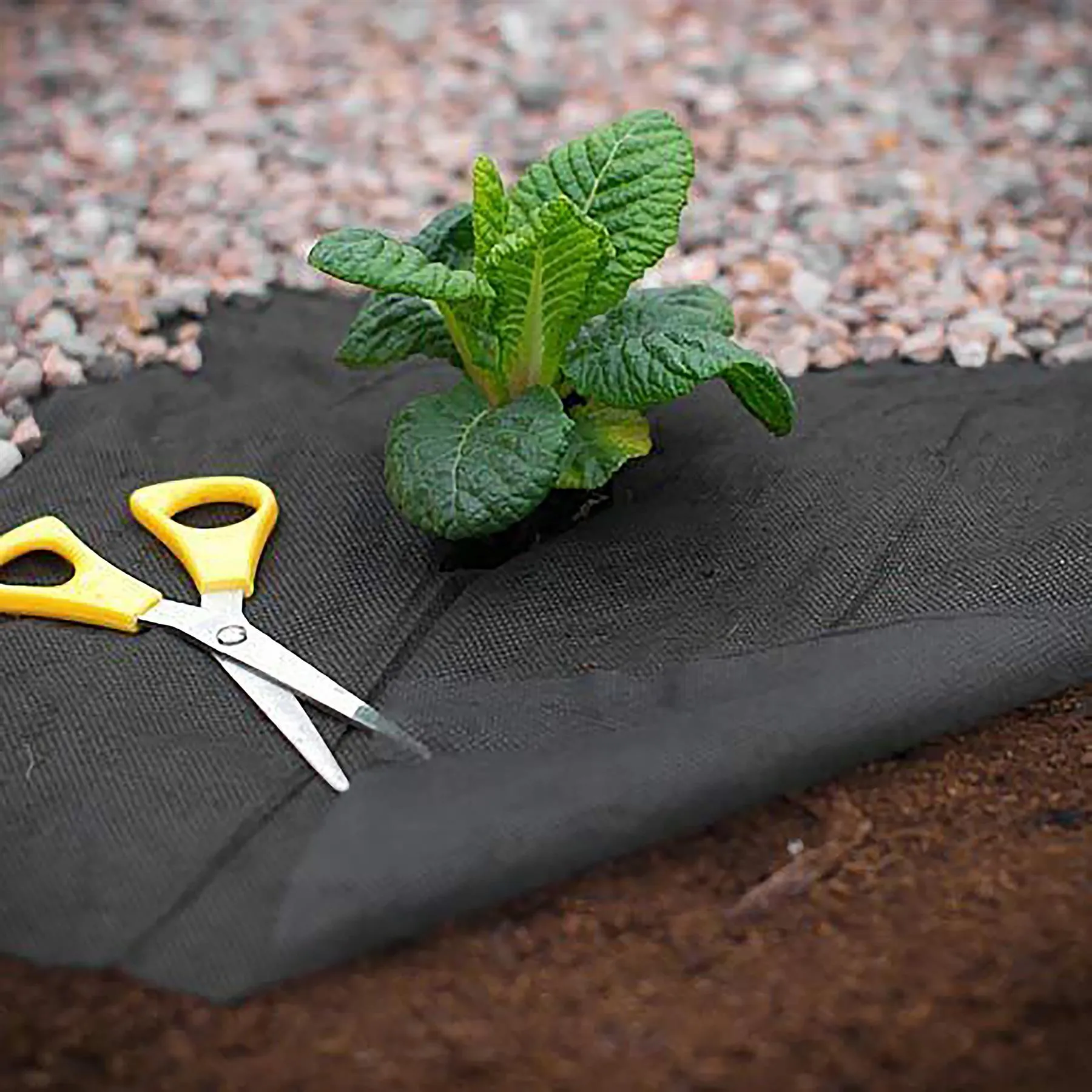 Weed Control Fabric